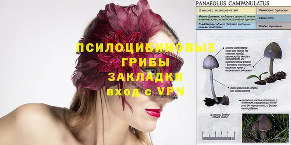 ПСИЛОЦИБИНОВЫЕ ГРИБЫ Пестово