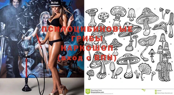 таблы Пересвет