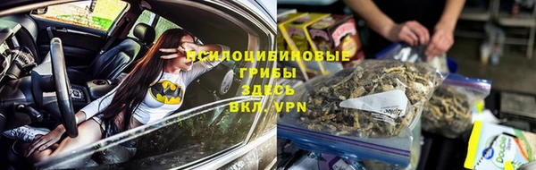ПСИЛОЦИБИНОВЫЕ ГРИБЫ Пестово