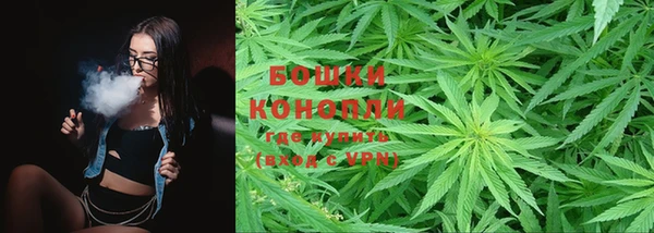 ПСИЛОЦИБИНОВЫЕ ГРИБЫ Пестово