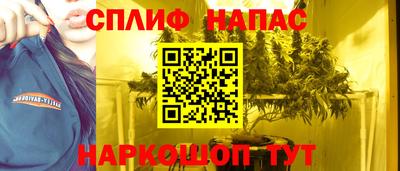 гашик Бийск