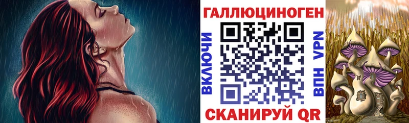 Псилоцибиновые грибы Cubensis  Муром 