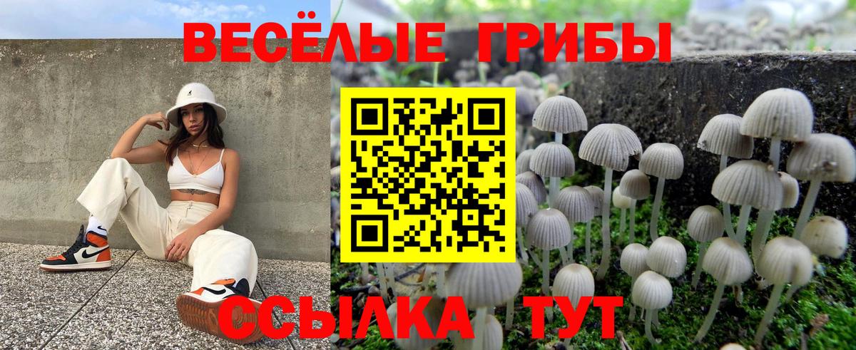 Галлюциногенные грибы Cubensis  Псилоцибиновые грибы Psilocybine cubensis  Муром  Вход с VPN 